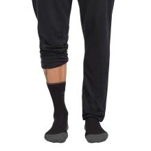 Icebreaker Wander Sock Crew Hike+ Light (Merino wool, durable, lightweight) black/obsidian men's